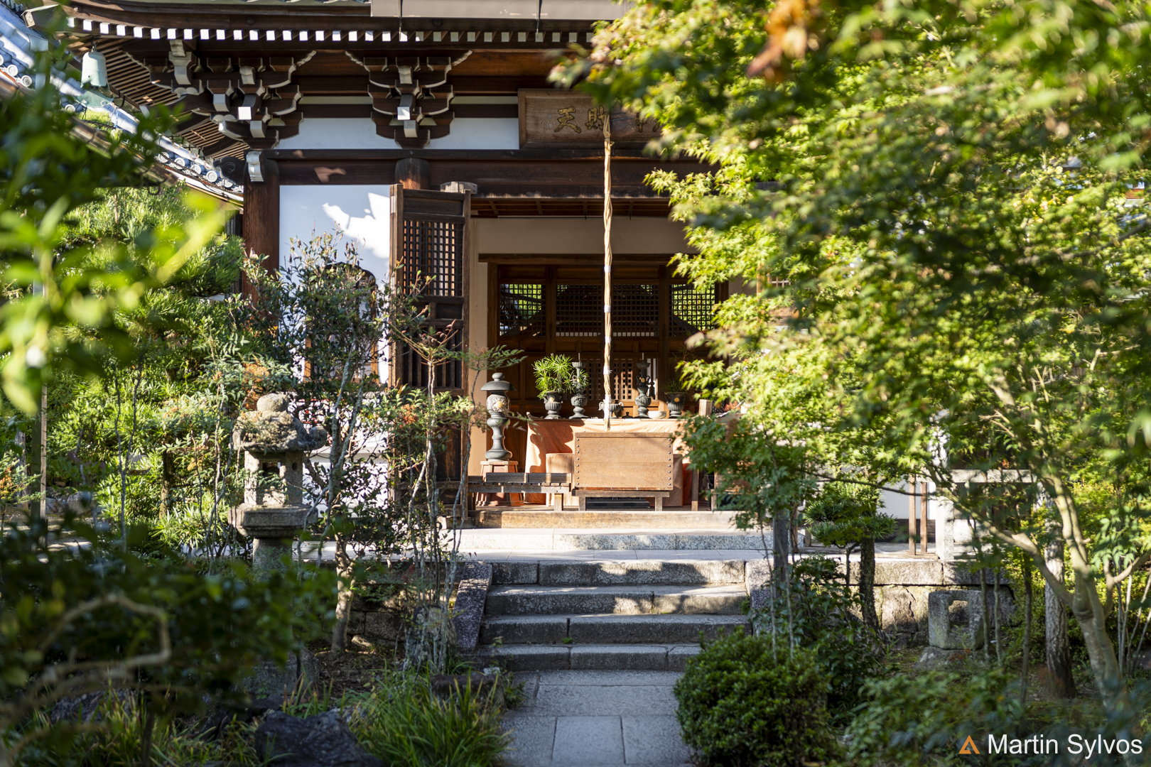 2025 Japon martin sylvos 33